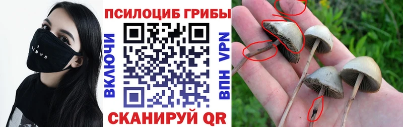 Псилоцибиновые грибы прущие грибы ОМГ ОМГ зеркало Билибино